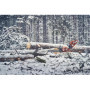 Husqvarna 560 XP® G Mark II profesjonalna pilarka spalinowa